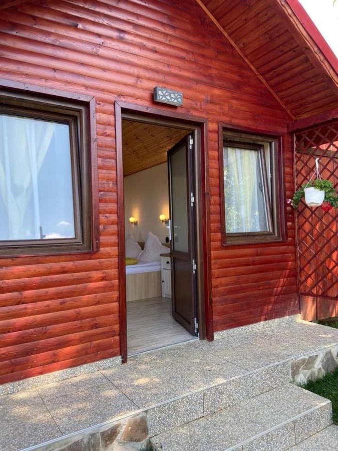 Pensiunea Tinelu Brasov Сэчеле Экстерьер фото