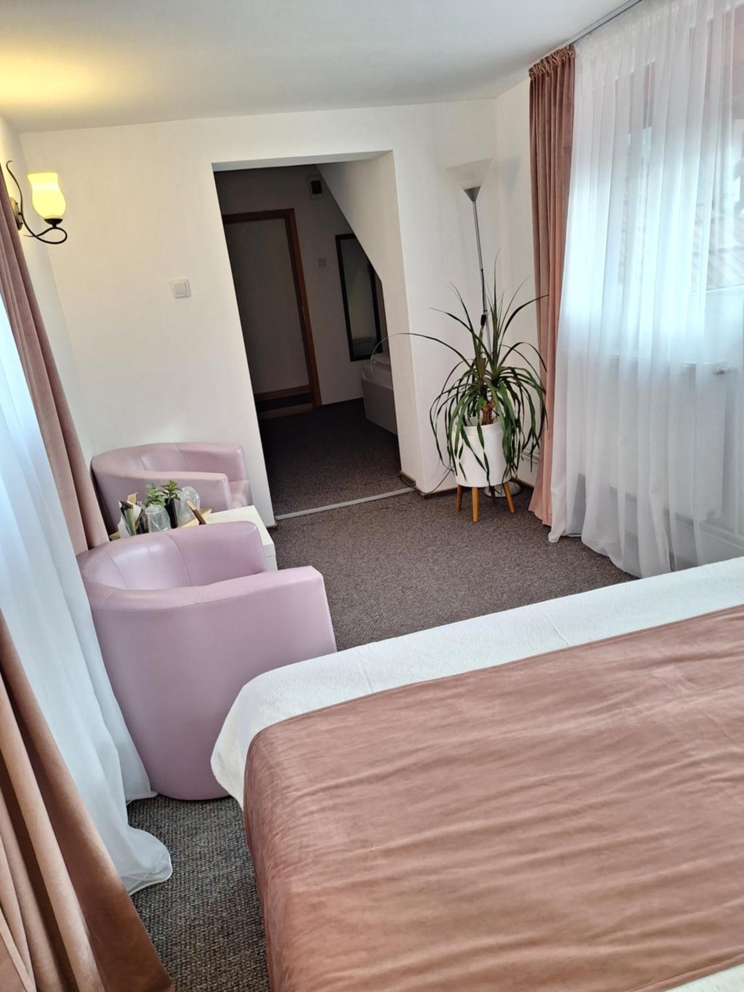 Pensiunea Tinelu Brasov Сэчеле Экстерьер фото