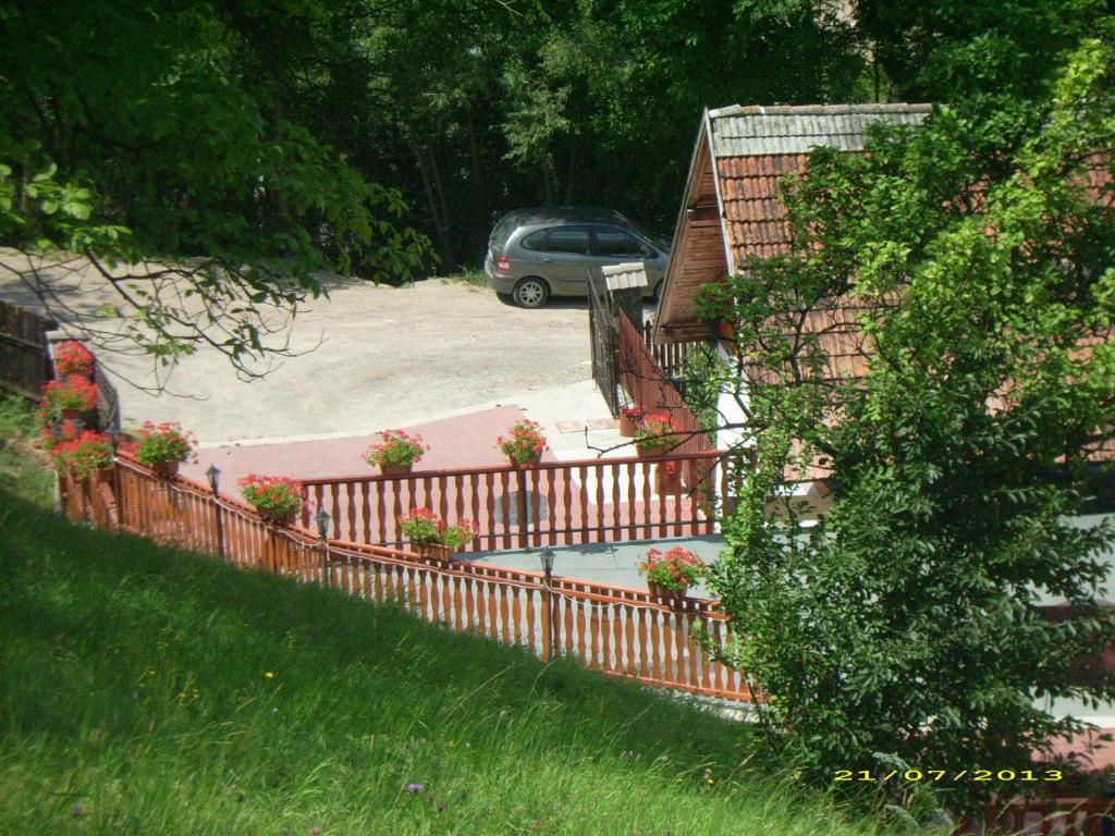 Pensiunea Tinelu Brasov Сэчеле Экстерьер фото