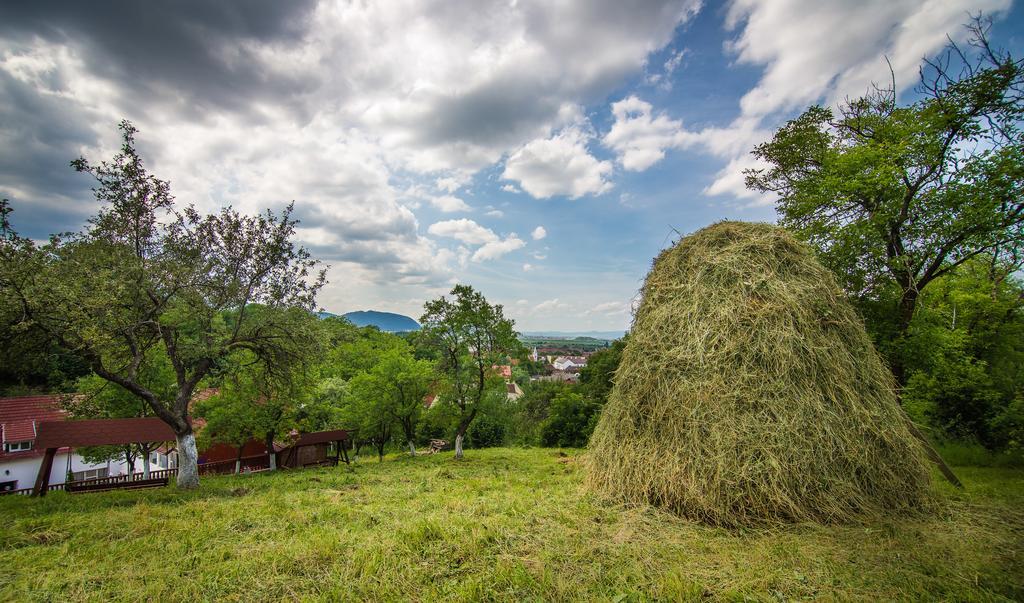 Pensiunea Tinelu Brasov Сэчеле Экстерьер фото