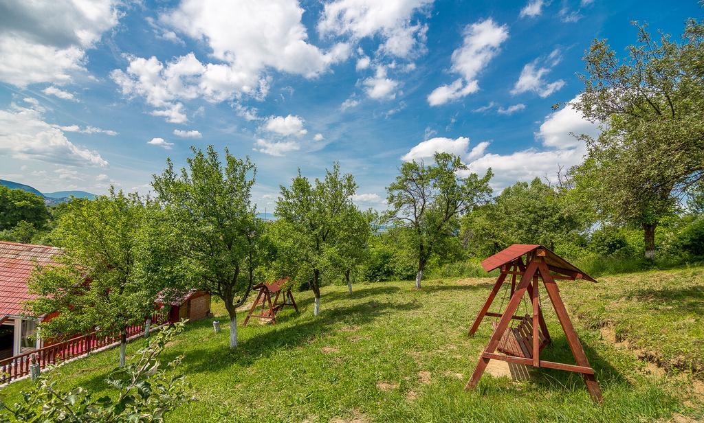 Pensiunea Tinelu Brasov Сэчеле Экстерьер фото